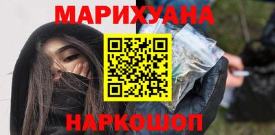 сатива Новозыбков