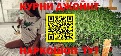 сатива Новозыбков