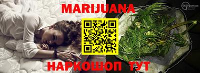 сатива Новозыбков