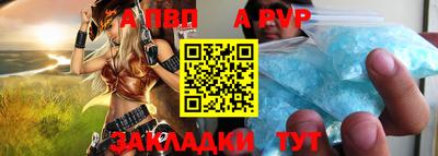 сатива Новозыбков