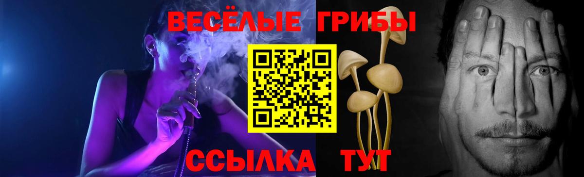 Галлюциногенные грибы Magic Shrooms  Вход с VPN  Среднеуральск 