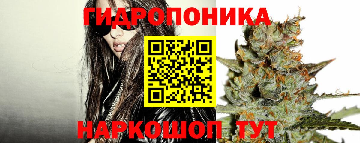 Конопля Bruce Banner  МАРИХУАНА MAZAR  Шишки марихуана VHQ  Среднеуральск  Вход с VPN 